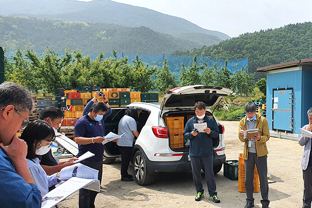 ▲ 청송군은 청송사과 CA저장 현장 평가회를 열었다.ⓒ청송군