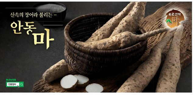 ▲ ‘안동산약(마)’이  2020 한국의 소비자대상을 수상했다.ⓒ안동시