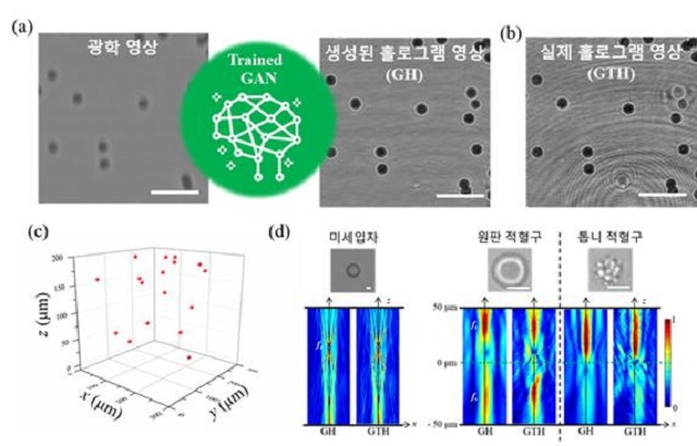 ▲ GAN을 활용한 영상 변환 및 변환된 홀로그램을 활용한 시료의 3차원 정보 추출.ⓒ포스텍
