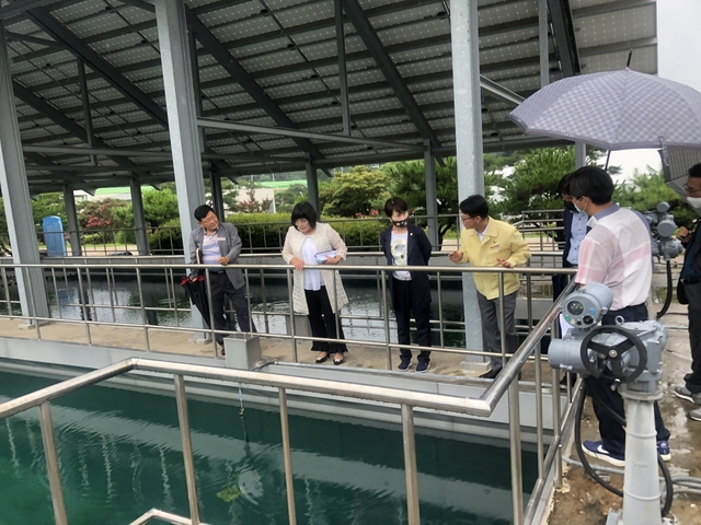 ▲ 경북 영주시는 24일 관내 4곳의 정수장을 대상으로 자체 현장점검을 실시한 결과 ‘깔따구 유충’이 발견되지 않았다.ⓒ영주시