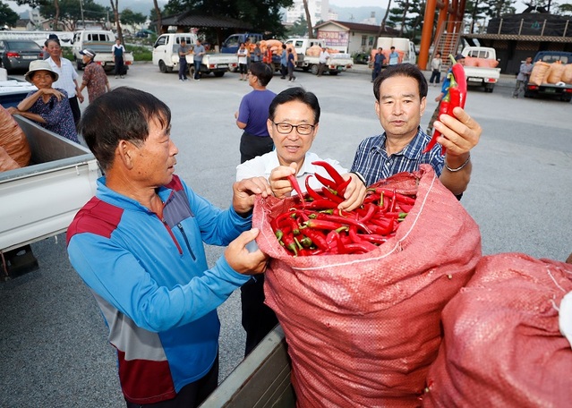 ▲ 지난해 괴산 홍고추시장 자료사진.ⓒ괴산군