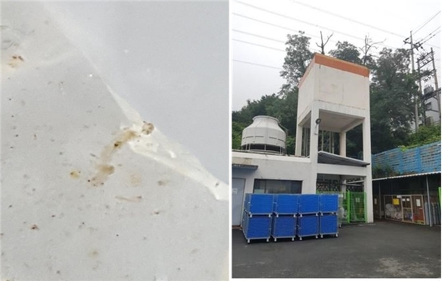 ▲ 나방파리 유충 및 물탱크 설치 현황.ⓒ대구시상수도사업본부