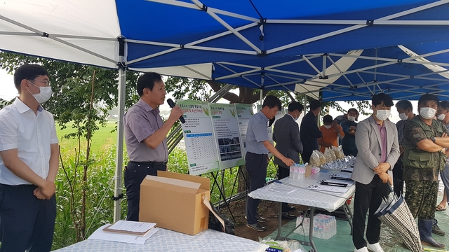 ▲ 농촌진흥청 국립식량과학원(기술지원과)과 고령군 농업기술센터는 지난 29일  쌍림면 신곡리에서 농업인과 관계관 등 20여명이 참석한 가운데 옥수수 신품종 도입으로 농업기술을 향상시키고 농가 소득을 증대하기 위한 식용 풋옥수수 신품종 비교전시포의 현장 평가회를 개최했다.ⓒ고령군 농업기술센터