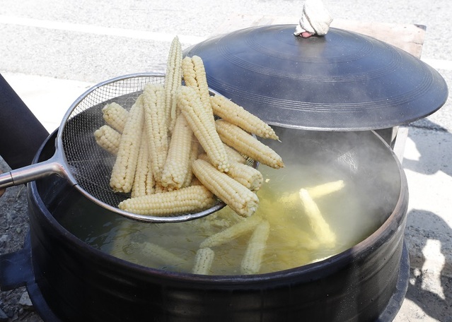 ▲ 수확 뒤 바로 가마솥에 삶은 괴산 대학찰옥수수.ⓒ괴산군