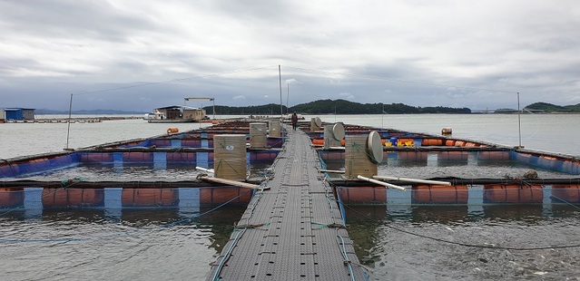 ▲ 충남 천수만 가두리 양식장.ⓒ충남도