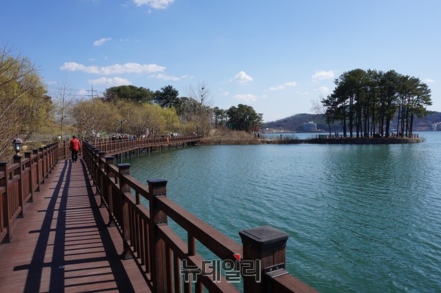 ▲ 충남 논산 탑정호. 탑정호 소풍길에는 탑정호 소풍길 중 가장 아름답다는 소나무 28그루가 동그랗게 군락을 이루고 있다.ⓒ김정원 기자