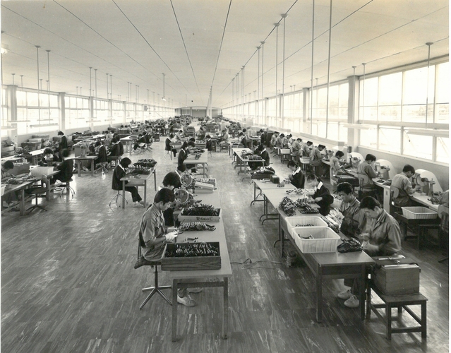 ▲ 대구시와 (재)한국안광학산업진흥원은 지난 6월 문화체육관광부가 주최하고 (재)지역문화진흥원에서 주관하는 ‘2020 유휴공간 문화재생 기본구상방안 연구대상지 공모’에 국제셀룰로이드 부지가 최종 선정돼 본격적인 연구 용역에 착수했다.ⓒ대구시