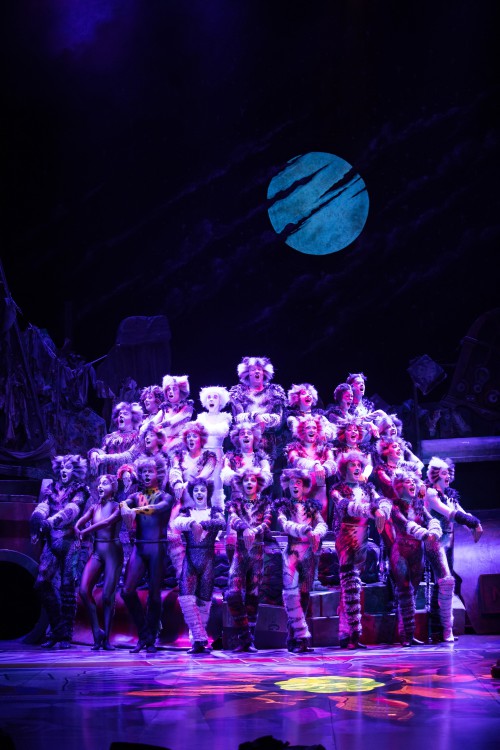 ▲ 뮤지컬 '캣츠' 공연 장면.ⓒ에스앤코