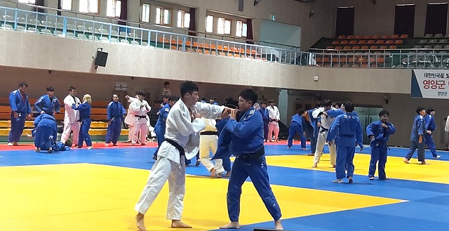 ▲ 한체대 유도선수단이 훈련을 하고 있다.ⓒ경북관광공사