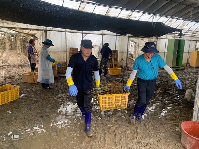 ▲ 충남도청 농림축산국 직원들이 7일 천안시 수신면과 아산시 염치읍에서 수해 피해를 입은 농가에서 일손지원활동을 벌였다.ⓒ충남도