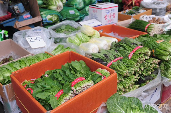 ▲ ⓒ뉴데일리DB