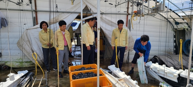 ▲ 고령군의회는 지난 7일 부터 삼일 동안 250mm 이상의 집중호우로 발생한 우리 지역의 피해를 점검하기 위해 호우 피해 현장 점검을 실시했다.ⓒ고령군의회