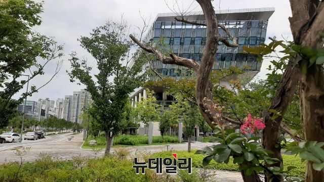 ▲ 최근 이어진 긴 장마와 함께 집중호우가 쏟아진 가운데 세종시청 주변에 조성된 산책로에 꽃이 활짝 피어 지나는 사람들의 눈길을 사로 잡고 있다.ⓒ김동식 기자