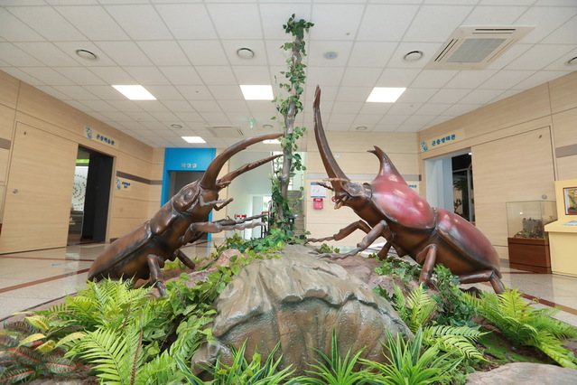 ▲ 예천군은 관광 명소인 예천곤충생태원을 여름방학과 휴가철을 맞아 전국 각지에서 찾아오는 관광객들 편의를 위해 이달 23일까지 휴관 없이 정상 운영한다.ⓒ예천군