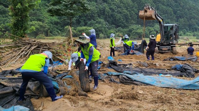 ▲ 충남 당진 석문농협 여성 자원봉사단 40여 명이 재해 복구 지원에 나서 구슬땀을 흘리고 있다.ⓒ충남농협