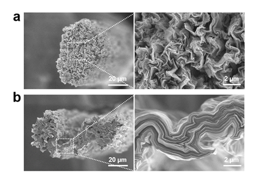 ▲ 그림(a)은 자발적 평탄화가 일어나지 않아 주름진 원형 단면을 가지는 그래핀 섬유와 (b) 자발적 평탄화로 인해 납작한 그래핀 섬.ⓒKAIST