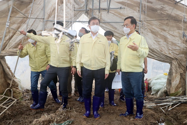 ▲ 집중호우 피해현장 방문에 나선 문재인 대통령이 12일 충남 천안시 호우 피해농가인 오이 비닐하우스를 둘러보고 있다. ⓒ뉴시스