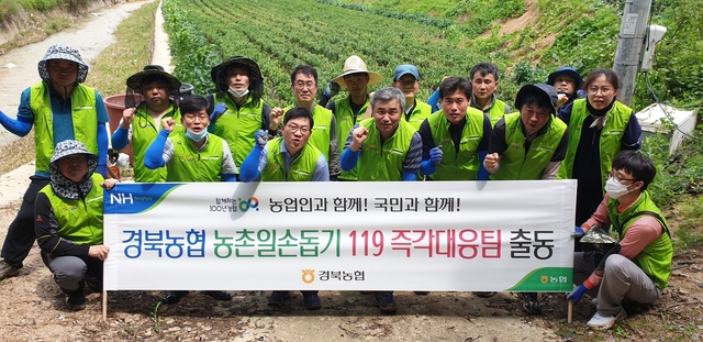 ▲ 경북농협(본부장 김춘안) 농촌일손돕기 119 즉각대응팀 20여명은 14일 호우피해로 시름에 잠겨있는 피해농가를 찾아 긴급 복구지원을 실시했다.ⓒ경북농협