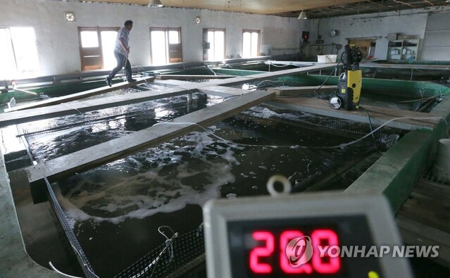 ▲ 고수온에 양식장 비상.ⓒ연합뉴스