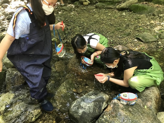 ▲ 제천 화당초등학교 4학년 학생들이 학교 주변 물가에서 탐구활동을 하고 있다.ⓒ화당초 제공