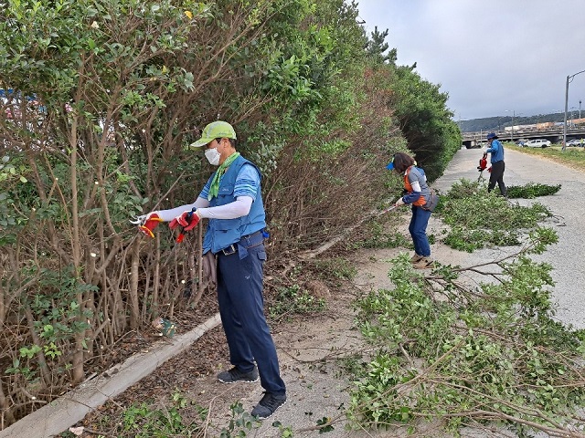 ▲ 포항제철소 임직원들이 청림동 냉천 일대에서 주민들이 쾌적하게 공원을 이용할 수 있도록 가지치기 작업을 하고 있다.ⓒ포항제철소
