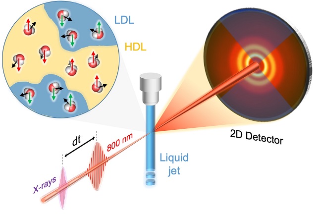 ▲ 레이저 빛의 강한 전기장을 이용해 액체상 물 분자들을 일시적으로 정렬시키고, 4세대 가속기의 강력한 X선으로 이 과정의 구조변화를 관측했다.ⓒ포스텍