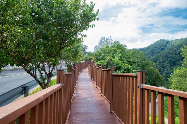 ▲ 증평군이 좌구산 일원에 조성한 '좌구상 분젓치 산새길 테마로드'의 모습.ⓒ증평군 제공