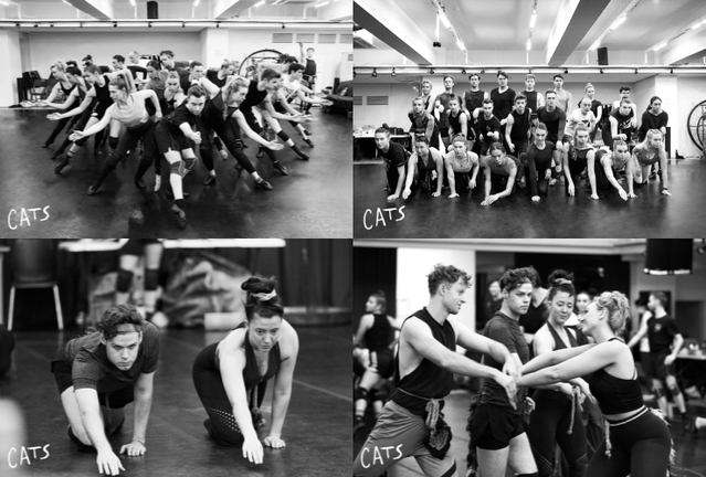 ▲ 뮤지컬 '캣츠' 40주년 내한공연 연습 사진.ⓒ에스앤코