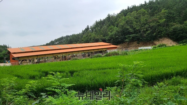 ▲ 포항시 흥해읍 학천리 축사 증축 현장 사진.ⓒ뉴데일리