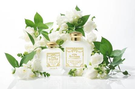 ▲ ⓒ신세계인터내셔날