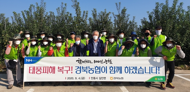 ▲ 경북농협(본부장 김춘안) 임직원 40여명은 4일 안동지역 태풍피해농가를 찾아 태풍피해 복구에 나섰다.ⓒ경북농협