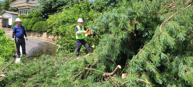 ▲ 청주시가 태풍 피해 현장에서 복구 작업을 펼치고 있다.ⓒ청주시