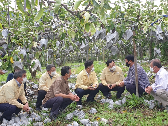 ▲ 강성조 경북도 행정부지사는 9일 오후 김현수 농림축산식품부 장관, 김석기 국회의원, 이만희 국회의원 등과 경주, 영천 등 태풍 피해 현장을 방문했다.ⓒ경북도