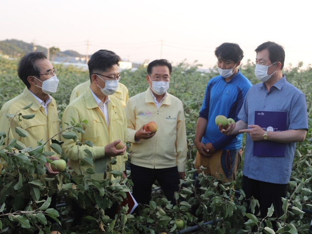 ▲ 지난 3일과 7일 경북내륙을 강타한 태풍 ‘마이삭’과 ‘하이선’으로 인해 농업 피해가 매우 심각한 것으로 나타난 가운데 신속한 복구와 지원을 위해 국회와 정부 그리고 민간 차원의 태풍 피해 현장 합동점검이 이뤄졌다.ⓒ이 의원 측