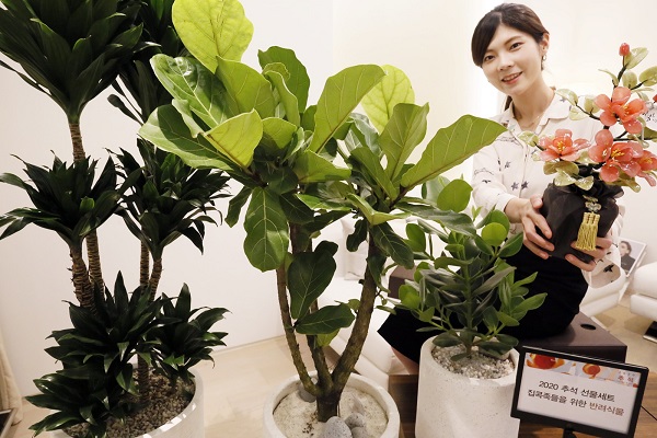 ▲ ⓒ한화갤러리아