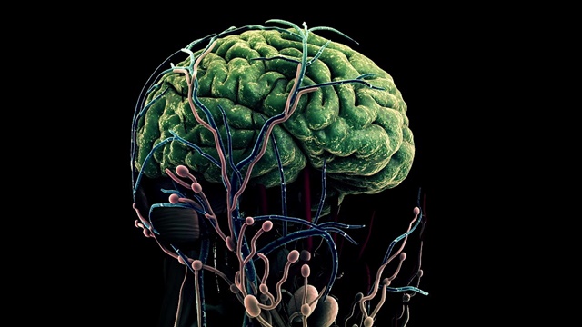 ▲ 인간의 뇌를 형상화한 그래픽. ⓒ삼성전자