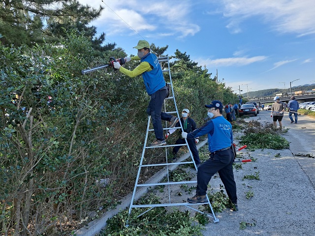 ▲ 포항제철소 직원들이 자매마을 환경정비를 위해 청림동 냉천 인근 수목을 정리하고 있다.ⓒ포항제철소