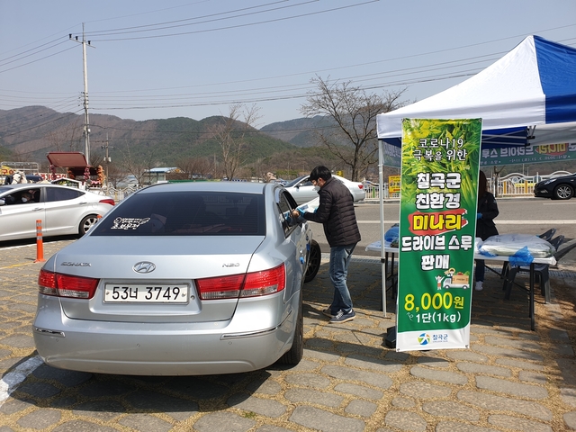 ▲ 지난 3월 동명지수변공원에서 드라이브 수루 방식으로 진행된 미나라 판매행사 장면.ⓒ칠곡군
