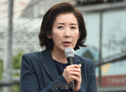 ▲ 나경원 전 자유한국당(현 국민의힘) 원내대표. ⓒ뉴데일리 DB