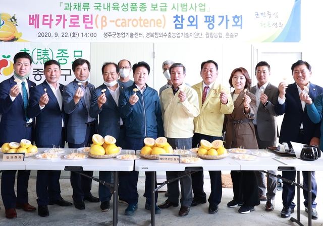 ▲ 성주군농업기술센터는 9월 22일 월항면 춘종묘에서 베타카로틴 평가회를 개최했다.ⓒ성주군