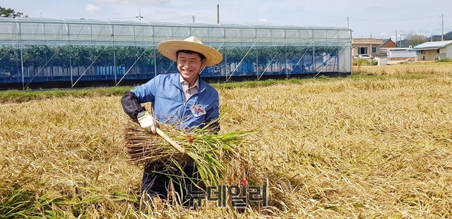 ▲ 이철우 경상북도지사는 23일 벼 수확이 한창인 상주시 사벌국면 원흥리 들녘을 찾아 상주시장, 도의원, 마을주민 등 30여명과 함께 벼 베기 작업을 도우며 수확의 기쁨을 함께하고 농업인들을 격려했다.ⓒ뉴데일리 박진호 기자