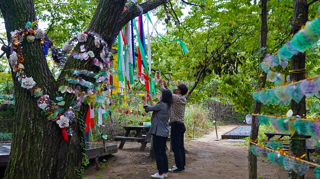 ▲ 경주엑스포공원‘사랑나무’에는 가족의 건강과 사업번창, 취업, 자기개발 의지 등 1년 동안  3천여개가 넘는 각양각색의 소원카드가 줄지어 걸렸다.ⓒ경주엑스포