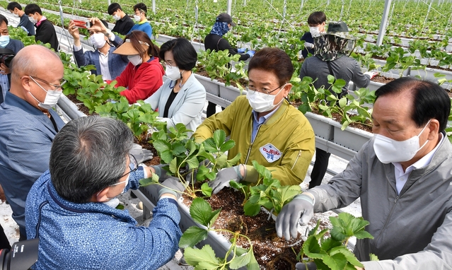 ▲ 이 지사는 ‘이웃사촌 시범마을’사업의 일환으로 추진 중인 청년시범마을일자리사업 현장인 의성 안계면 용기리를 찾아 ‘호피 홀리데이’, ‘진팜’, ‘달빛레스토랑’ 등 청년창업 가게를 방문하고 창업청년들이 운영하면서 겪은 진솔한 이야기를 청취했다.ⓒ경북도