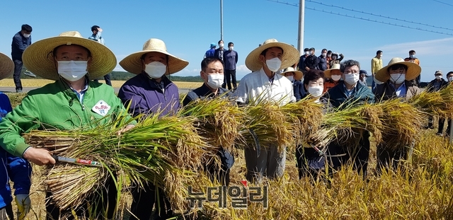 ▲ 이철우 경북도지사, 이강덕 포항시장 등 40여 명이 참석한 가운데 경북농업기술원에서 자체 육성한 벼품종 ‘다솜쌀’의 우수성과 소비자 기호도, 농가재배 안정성 등을 평가하기 위해 마련됐다.ⓒ뉴데일리 박진호 기자