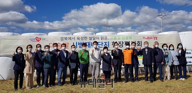 ▲ 포항시는 ‘다솜쌀(경북1호)’ 수확 및 현장 종합 평가회를 개최했다.ⓒ뉴데일리