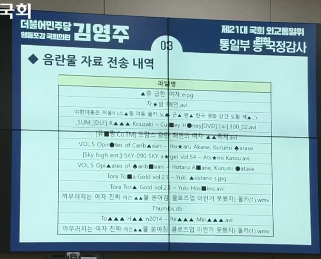 ▲ 8일 국회 외교통일위원회 국정감사에서 김영주 민주당 의원이 공개한 음란물 파일 전송기록. 이 파일들은 민주평화통일자문회의 한 직원이 근무시간에 업무용 컴퓨터로 내려받고 전송한 것으로 드러났다. ⓒ국회 인터넷의사중계시스템 화면 캡처