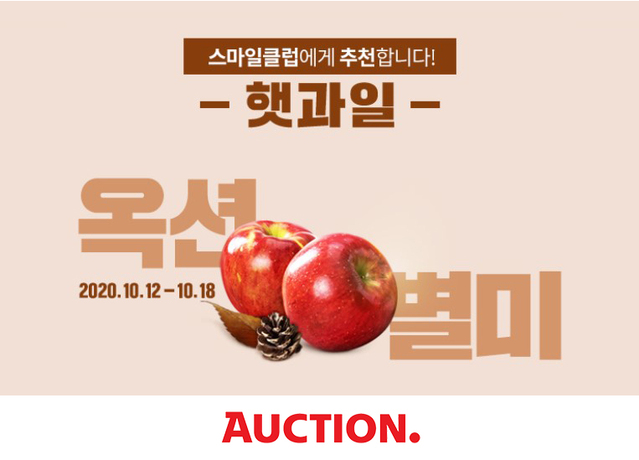 ▲ ⓒ옥션