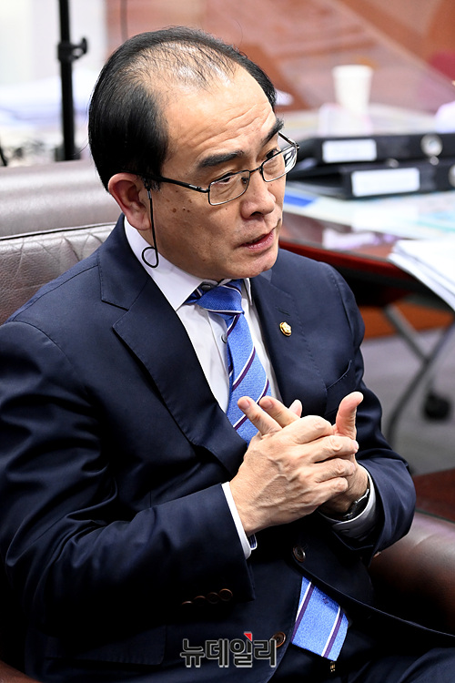 ▲ 태영호 국민의힘 의원이 13일 뉴데일리와 인터뷰하고 있다. ⓒ박성원 기자