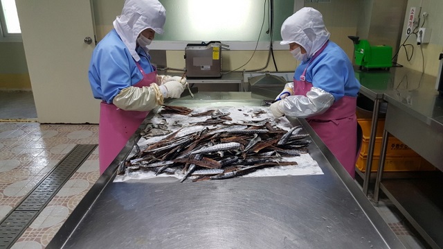 ▲ 지난해 외국인 계절근로자들이 과메기 건조작업 하는 모습.ⓒ포항시