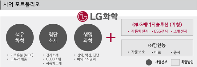 ▲ 분할 후 사업 포트폴리오. ⓒLG화학